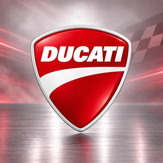 Stylo retouche peinture moto DUCATI