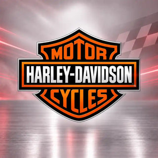 Stylo retouche peinture moto HARLEY-DAVIDSON