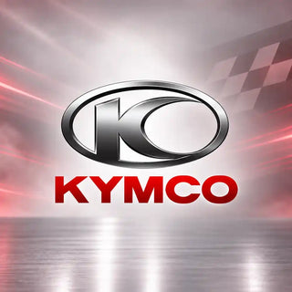 Stylo retouche peinture moto KYMCO