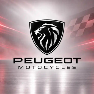 Stylo retouche peinture moto PEUGEOT